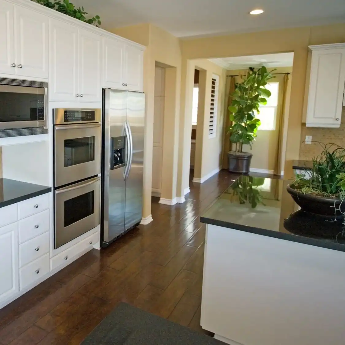 Visual representation for Property Appraisals